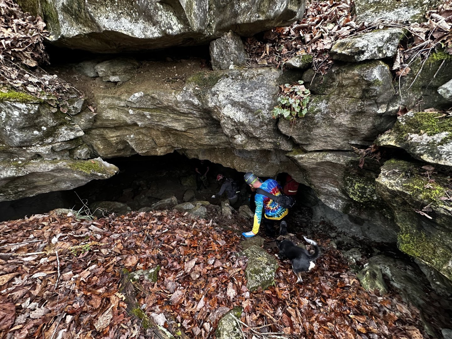 Monthly Meeting on April 7th Image