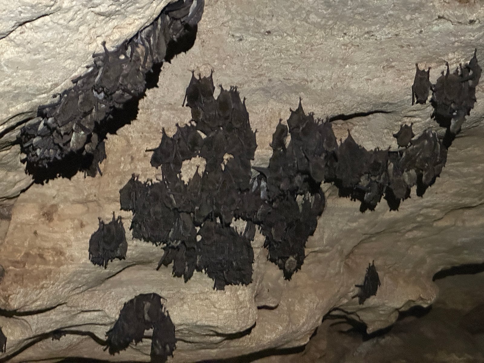 Trip Report Photo #10