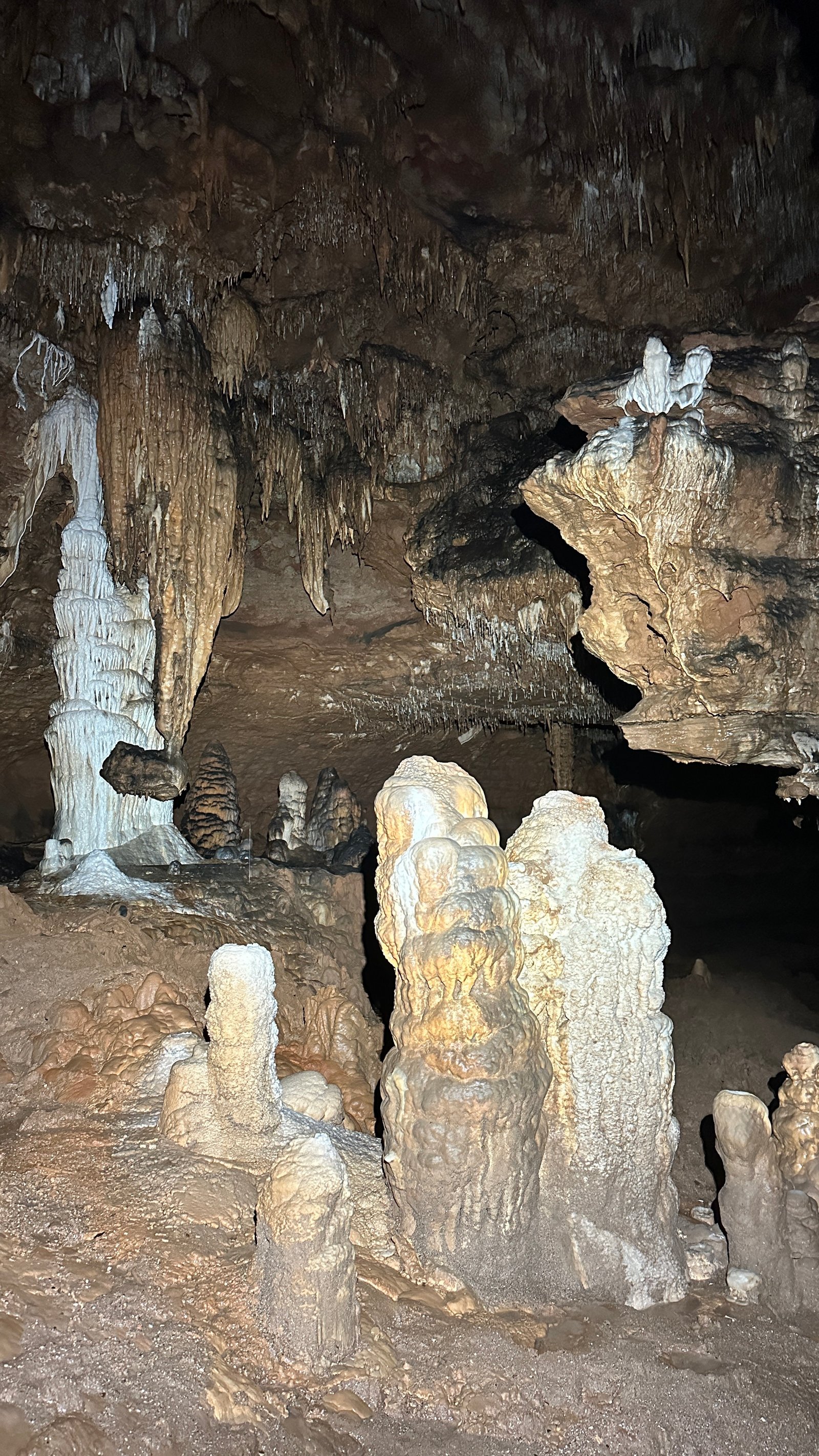 Trip Report Photo #3