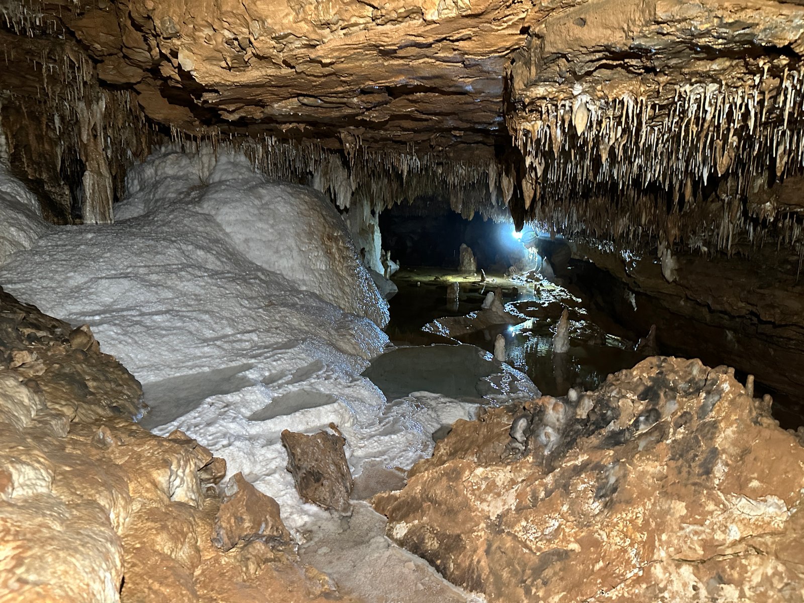 Trip Report Photo #6